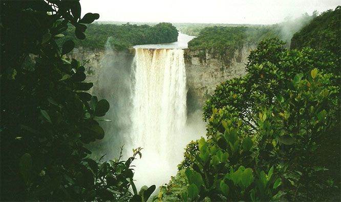 Rondreis Guyana, spectaculaire flora en fauna
