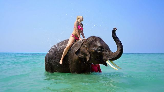 Op olifanten rijden in Thailand