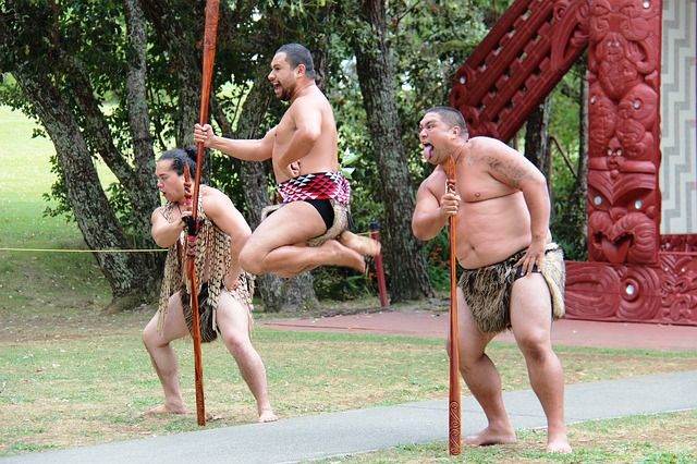 Waitangi Treaty Ground