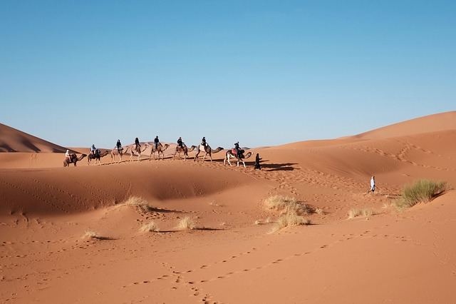 Woestijn activiteiten in Egypte