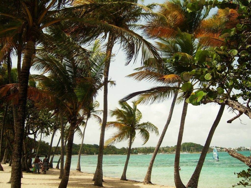 Vakantie Point-à-Pitre Guadeloupe