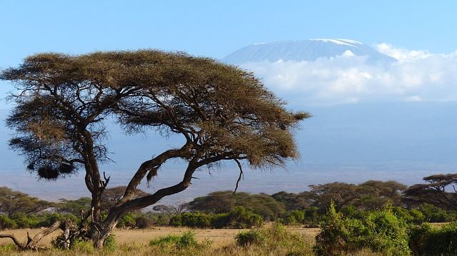 de Kilimanjaro