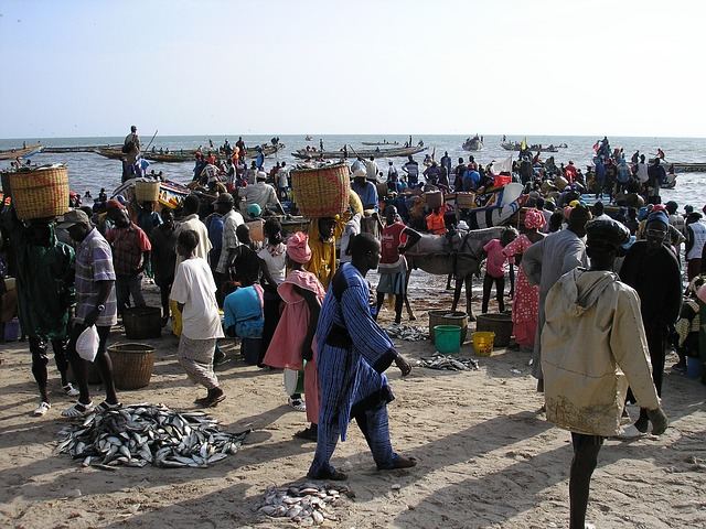 Rondreis Senegal