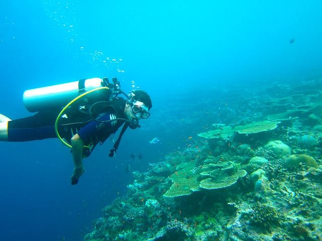 De Malediven – een waar paradijs voor duikers en snorkelaars