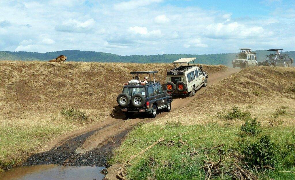 Op safari in Tanzania