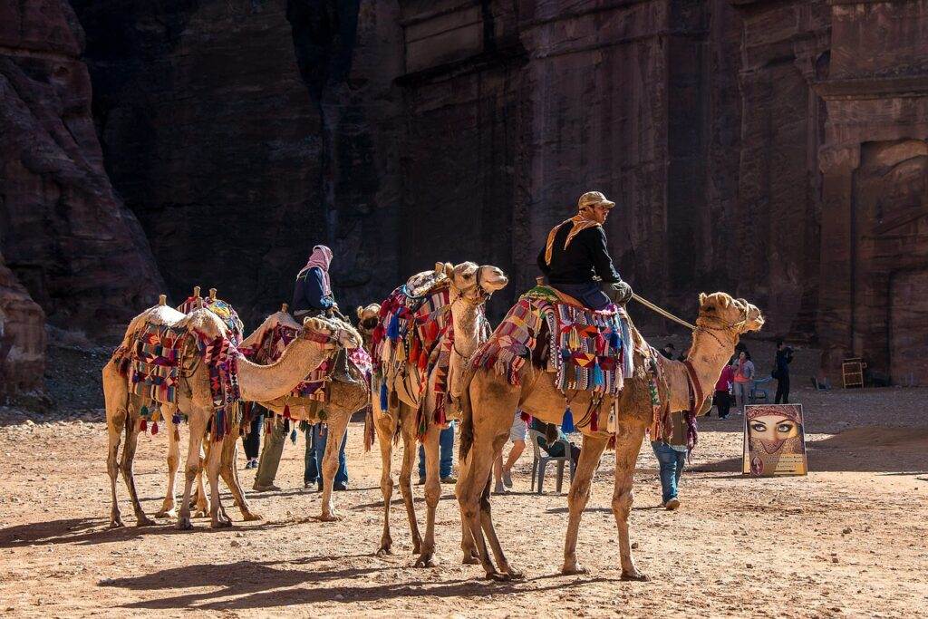 Op pad met kamelen en bedoeïenen in Jordanië