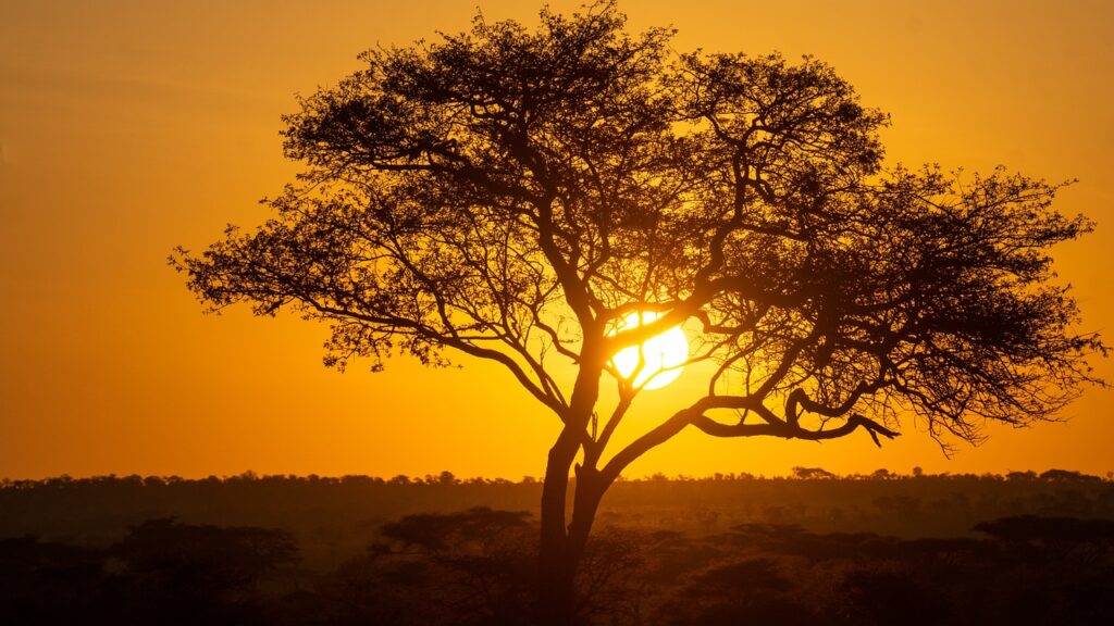 Hemels Tanzania: geniet van betoverende zonsondergangen en sterrenhemels